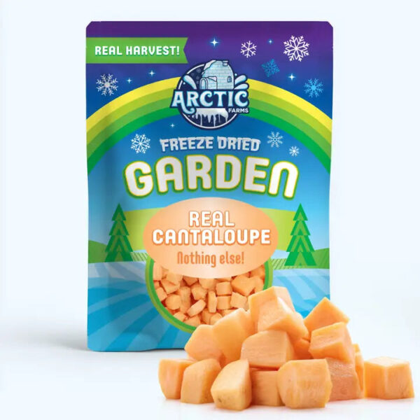 Freeze dried garden cantaloupe